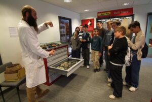 Tour of the collections at Fishbourne with curator Rob Symmons