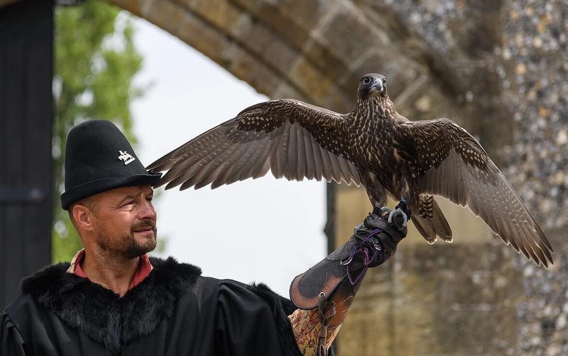 February Half Term will see Hawking ABout bring falconry to Lewes Castle