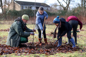 Community tree planting at Fishbourne Roman Palace